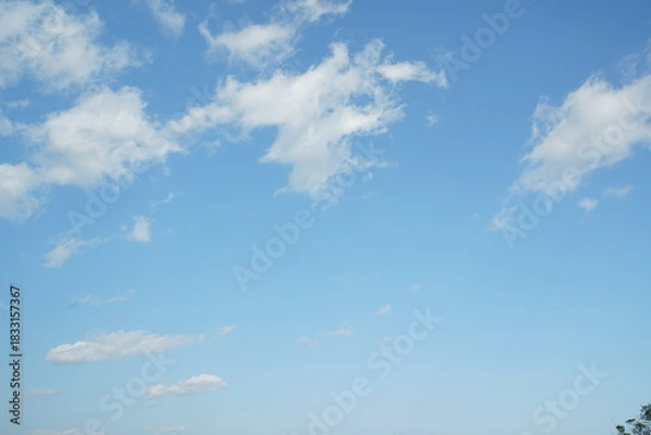 Obraz 晴れの日の海