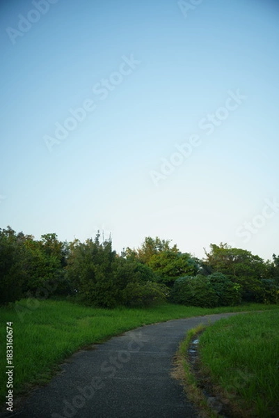 Obraz 森に向かう一本道