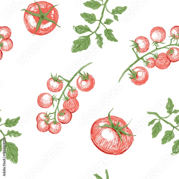 Obraz Tomatoes set sketch, seamless pattern, vector illustration, on a transparent background, hand drawn