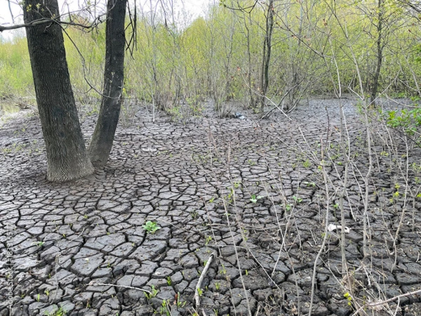 Obraz Dry and broken grey soil background