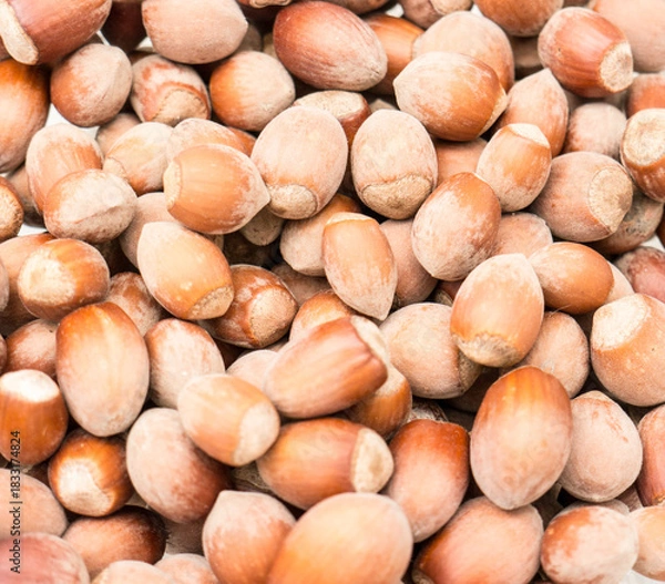 Obraz Nuts background.