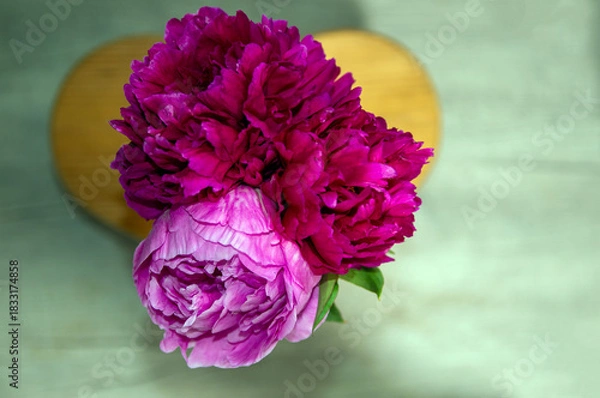 Obraz Top down peony view