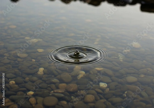 Fototapeta Water drop creates ripples in a shallow rocky lake, calm surface