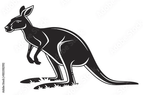 Fototapeta Silhouette of a kangaroo standing on grass with white highlights