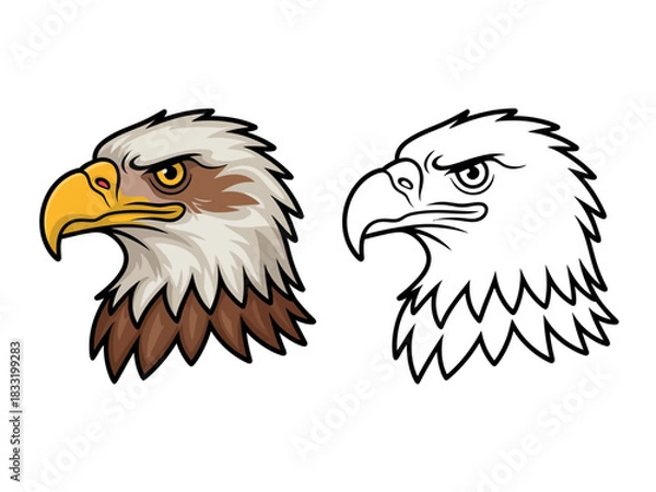 Obraz Close-up illustration of a bald eagle's head in profile, alongside a line drawing.