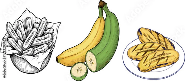 Fototapeta Banana and plantain food vector set with fried slices, raw fruit bunch and sketch style illustration