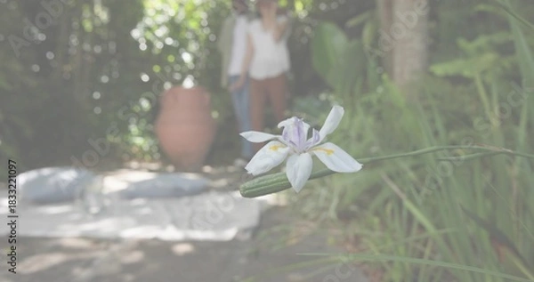 Fototapeta Framing iris blooming in backyard with clay pot, mat and pillows, blurred casual couple, copy space