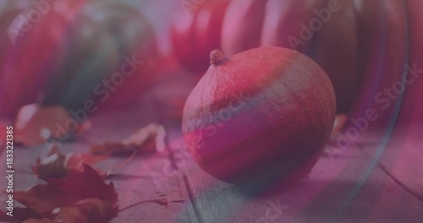 Obraz Resting small pumpkin with short stem on worn wood tabletop, dried leaves blurred gourds pink flare