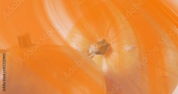 Fototapeta Showing primary yellow onion bulb with root end and papery skin in studio, with blurred bulb