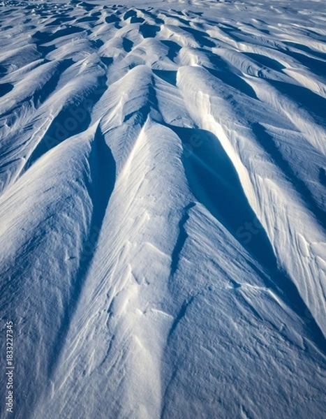 Obraz Rippled Snow Surface with Texture and Shadows in Winter Landscape