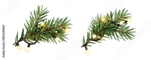 Fototapeta pine branch with lights string isolated on white