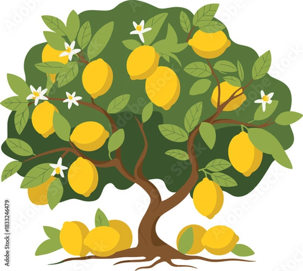 Fototapeta Lemon tree illustration with green leaves, yellow fruits, and white blossoms for botanical, agricultural, and nature-themed design.