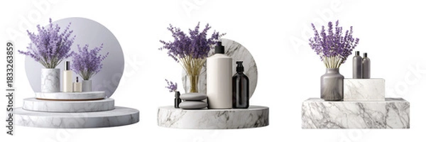 Obraz Set of Potted lavender plant with vibrant purple blooms modern light pot on transparent png background. Ai generated