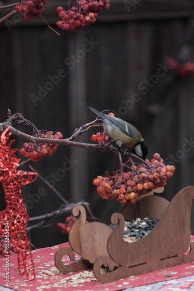 Obraz bird in autumn