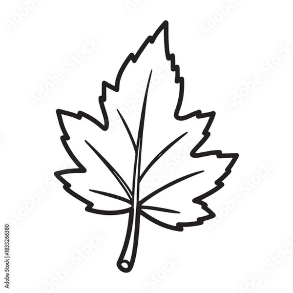 Obraz Graphic Maple Leaf Line Art Illustration Fall Season Nature Clip Art Vector Drawing Design Botanical Isolated Minimalist