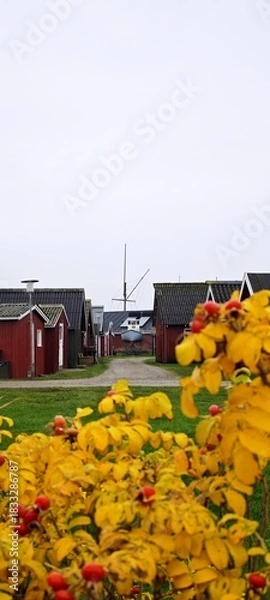 Obraz Fischerhütten in Ringköbing