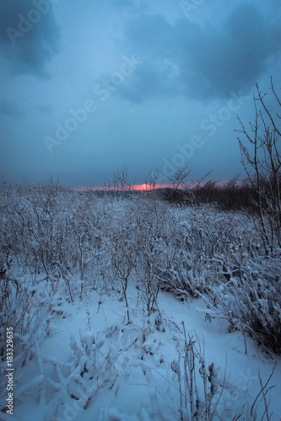 Obraz Winter landscape.