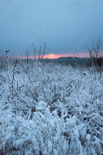 Obraz Sunset after snowfall.