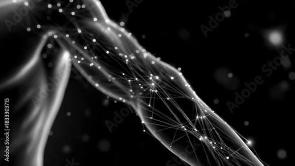 Fototapeta Digital Arm and Torso Nerve System Network Visualization