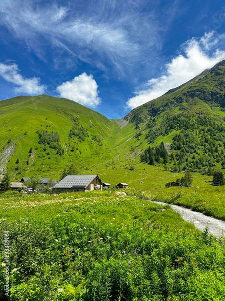 Obraz house in the mountains on a Summer Day in July 