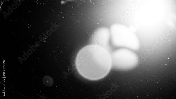 Obraz Abstract black and white background texture featuring bright, outoffocus light orbs and film grain, creating a vintage, ethereal, or grunge visual effect with lens flare