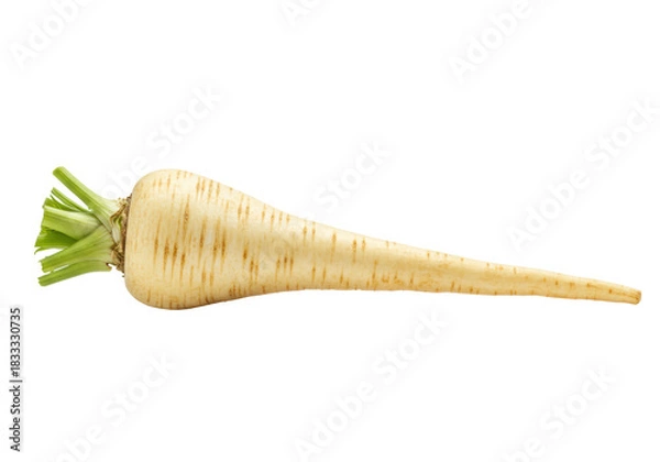 Fototapeta A single, pristine fresh parsnip, creamy white with faint brown striations, vibrant green shoots, horizontally on a transparent background with soft shadow, concept of fresh wholesome food