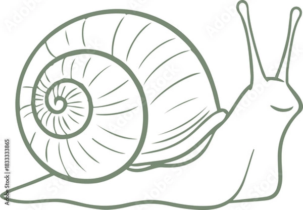 Obraz Snail Spiral Shell Doodle Outline