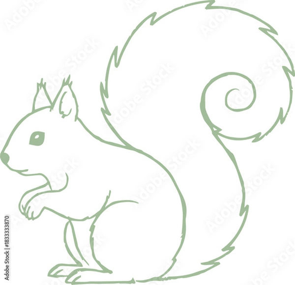 Obraz Squirrel Tail Swirl Outline