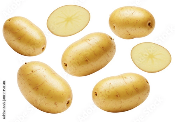 Fototapeta Multiple fresh, unpeeled new potatoes, light brown-yellow skin, irregular shapes, floating against a pristine transparent background with copy space, soft studio light, Concept of healthy and organic