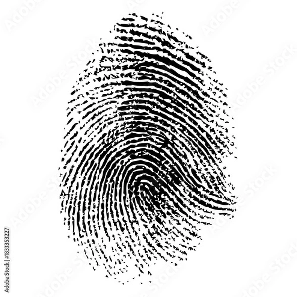 Obraz Realistic human fingerprint