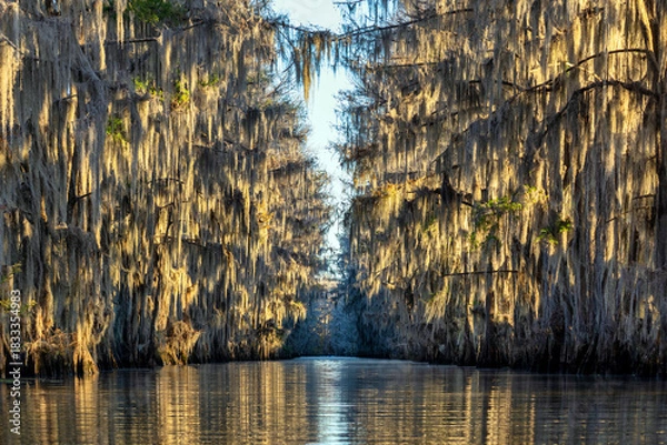 Obraz Caddo Lake Government Ditch Sunrise
