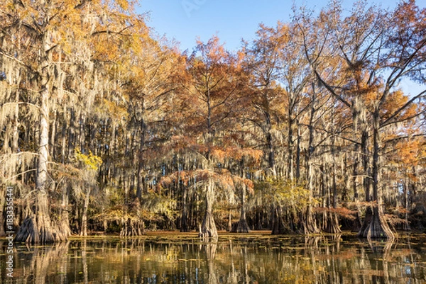 Obraz Benton Lake Early Morning Caddo