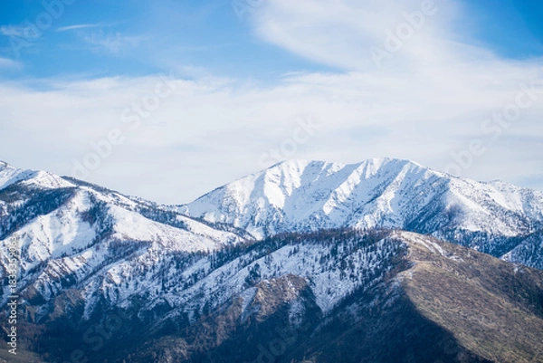 Obraz Angeles National Forest