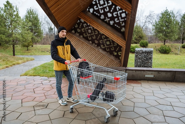 Fototapeta urban parenting errand, parenting in city park with stroller, casual outdoor moment of father running errands, an everyday scene of father taking care of shopping and his child