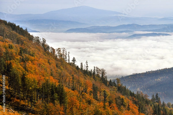Fototapeta jesienny krajobraz