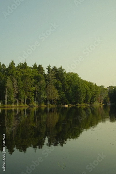 Obraz lake in the forest