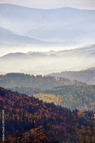 Fototapeta Jesienne mgły
