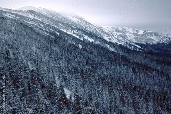 Fototapeta Babia Góra