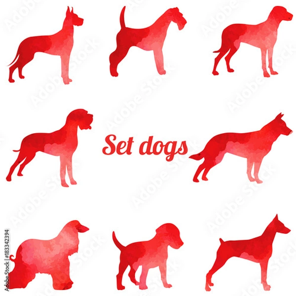 Fototapeta Red watercolor dogs, set