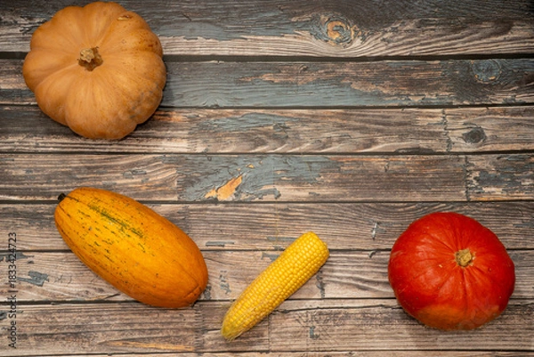 Fototapeta Rustic autumn flat lay with pumpkins, squash and corn on dark wooden background with copy space