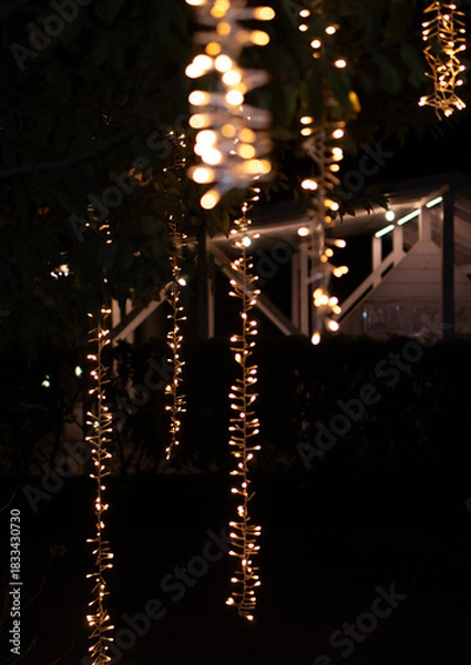 Obraz Vertical Christmas Lights Hanging on Trees at Night