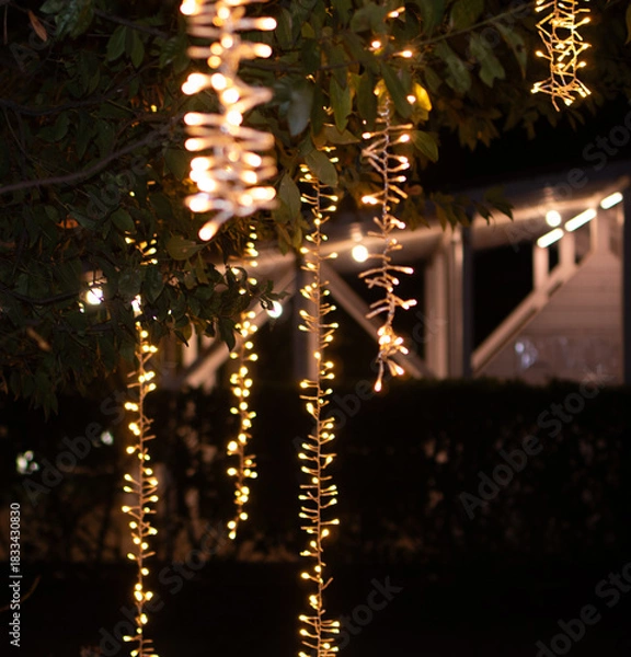 Obraz Vertical Christmas Lights Hanging on Trees at Night
