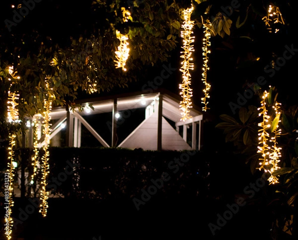Obraz Vertical Christmas Lights Hanging on Trees at Night
