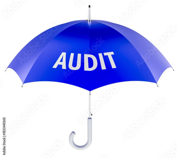 Fototapeta Audit concept with blue umbrella. 3D rendering