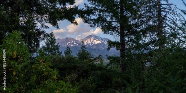 Obraz Mount Shasta framed view trees