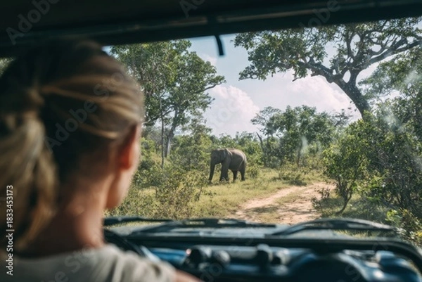 Obraz Safari Adventure View