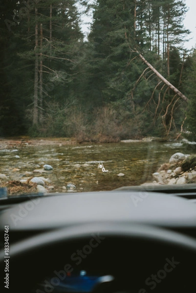 Obraz river in the forest