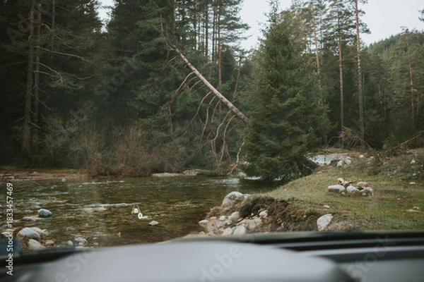 Obraz river in winter