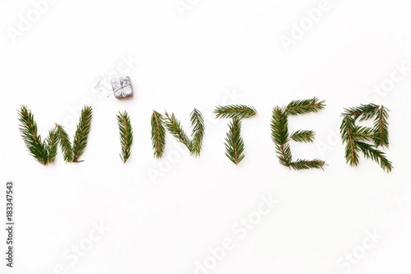 Fototapeta Word winter laid out by fir tree branches and little gift box isolated on white background.
