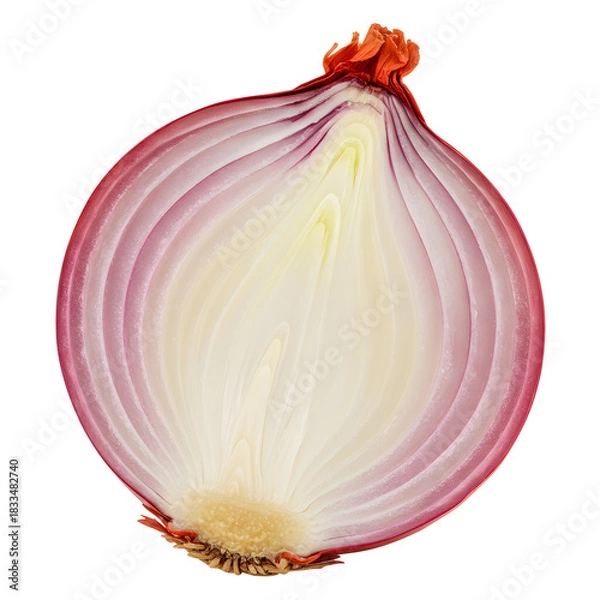 Obraz A close-up view of a red onion cut in half, showcasing its layered structure and vibrant colors.